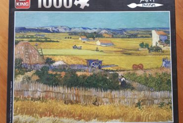 Paysage d'été