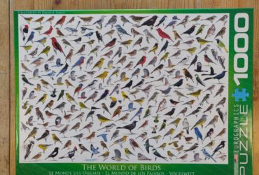 Le monde des oiseaux