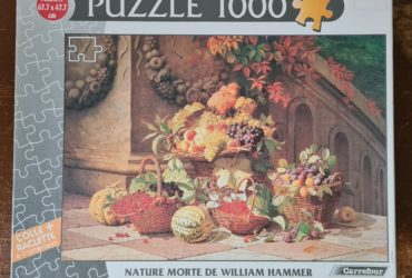 Nature Morte de William Hammer